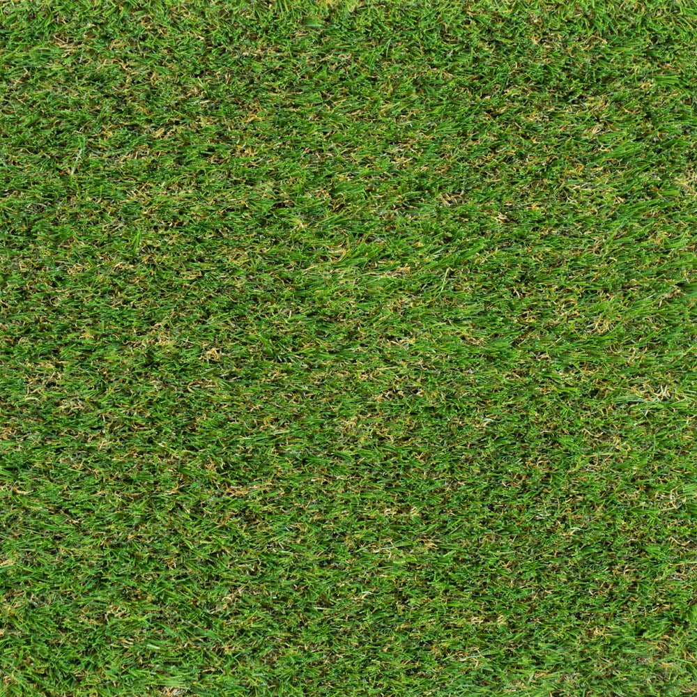 Meadow