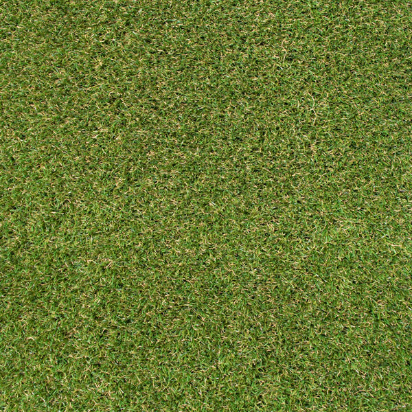 Eco+