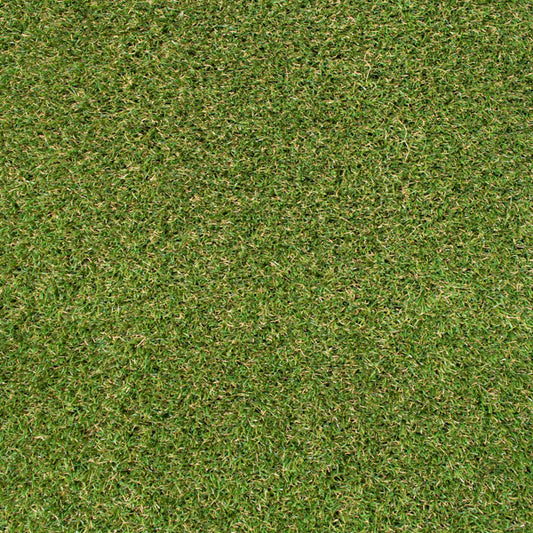Eco+