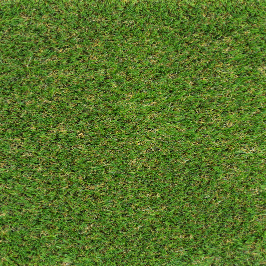 Meadow